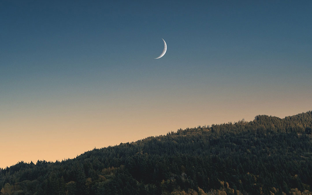 Setting Intention for a New Year or a New Moon
