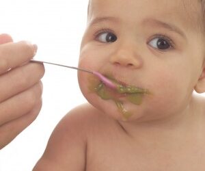 Solid Foods for Babies