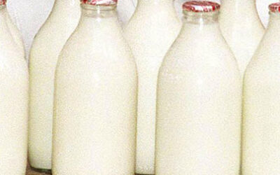 Mythbusters:  Milk Supply