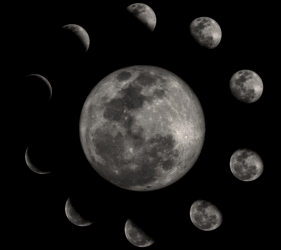 The Moon and Your Menstrual Cycle