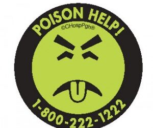 Chemicals to Avoid During Pregnancy